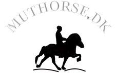 Muthorse.dk I Massage, undervisning & træning
